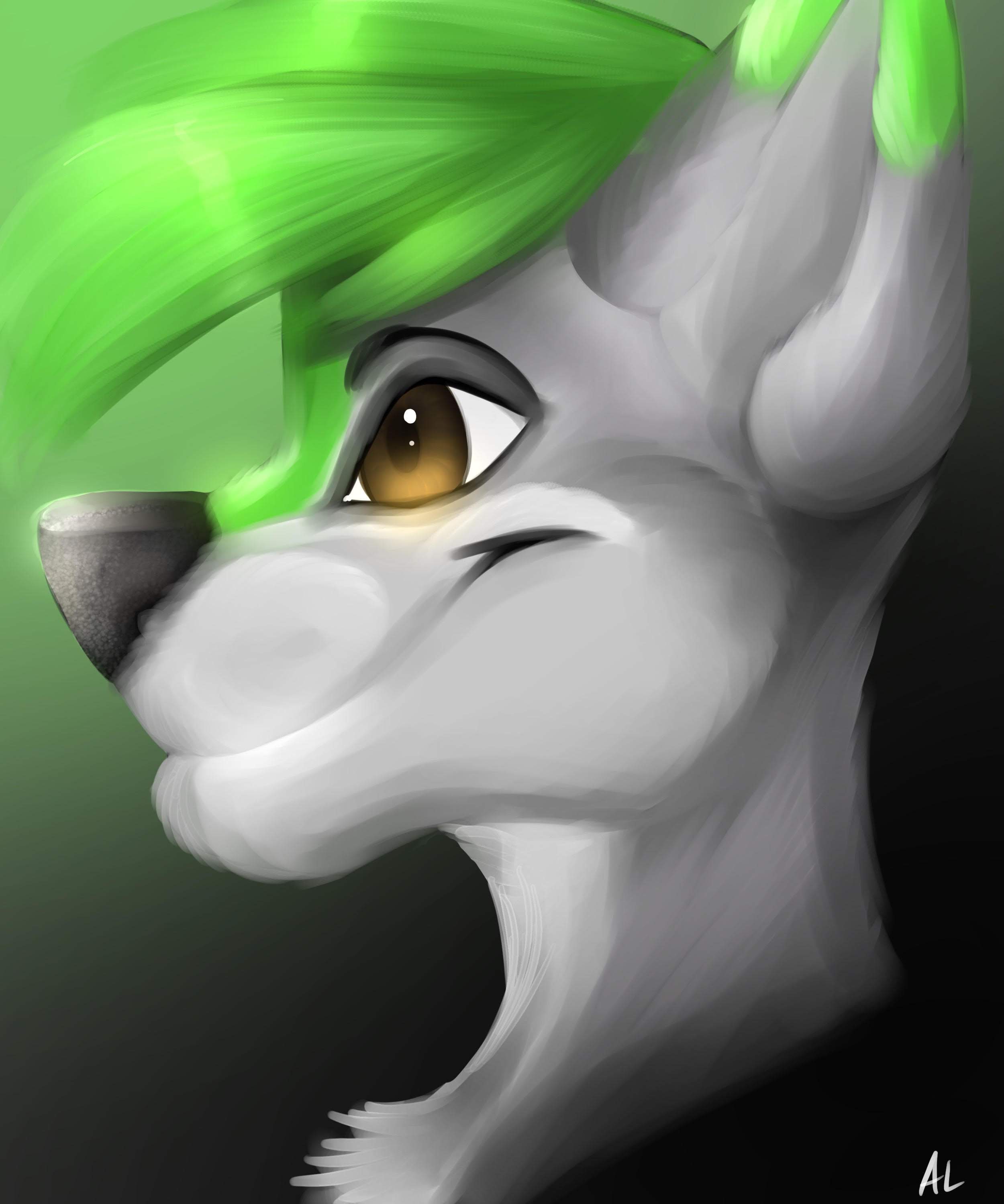 My Profile Picture